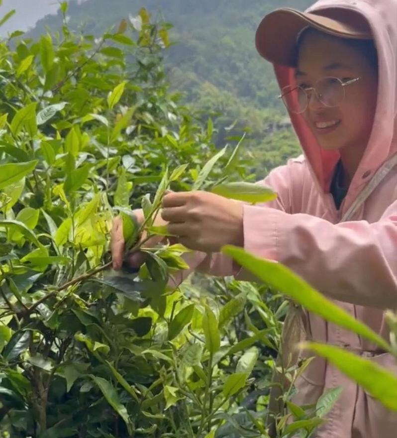Bikki'S Jungle Homestay Ha Giang Exterior photo