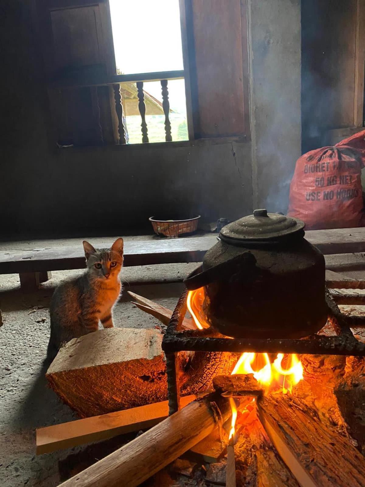 Bikki'S Jungle Homestay Ha Giang Exterior photo